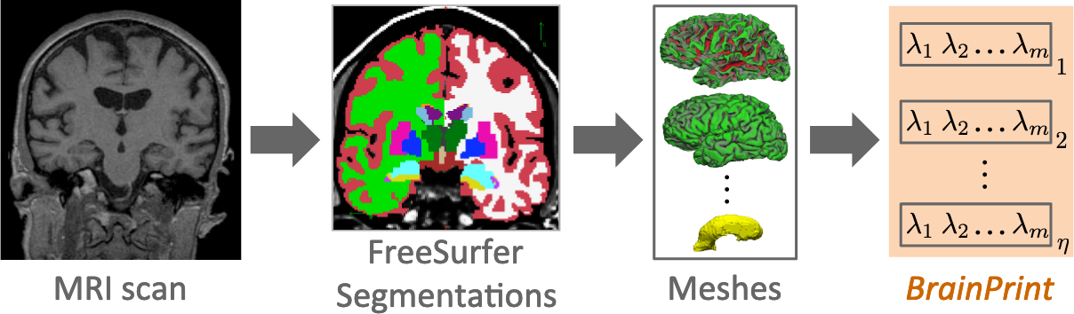 BrainPrint