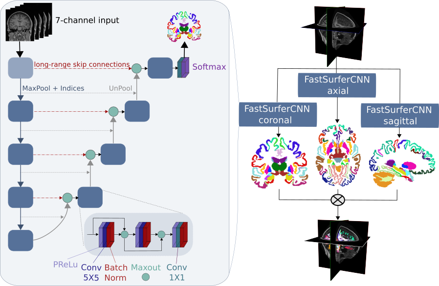 FastSurferCNN